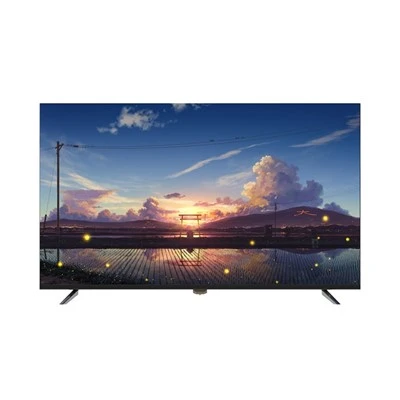 55palcový SKD Smart 4K Netflix TV