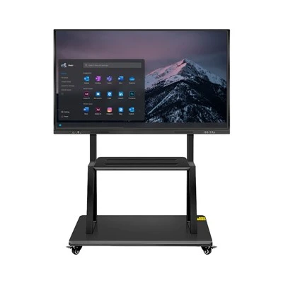 55palcová interaktivní tabule pro vzdělávání